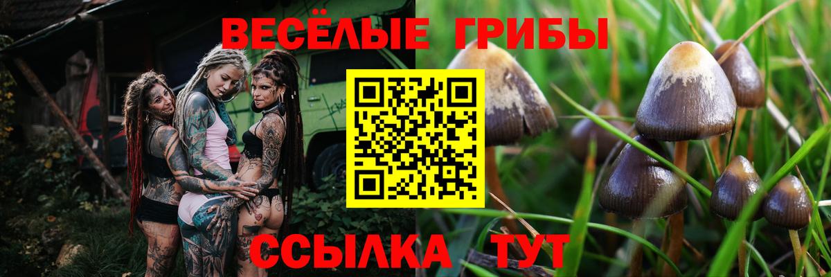 Псилоцибиновые грибы Magic Shrooms Одинцово